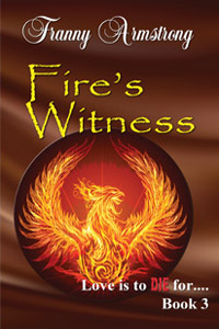 Fire's Witness cover